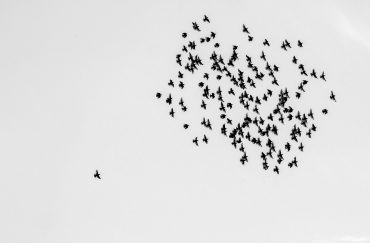 Servizio di Formazione all’Autonomia (SFA)